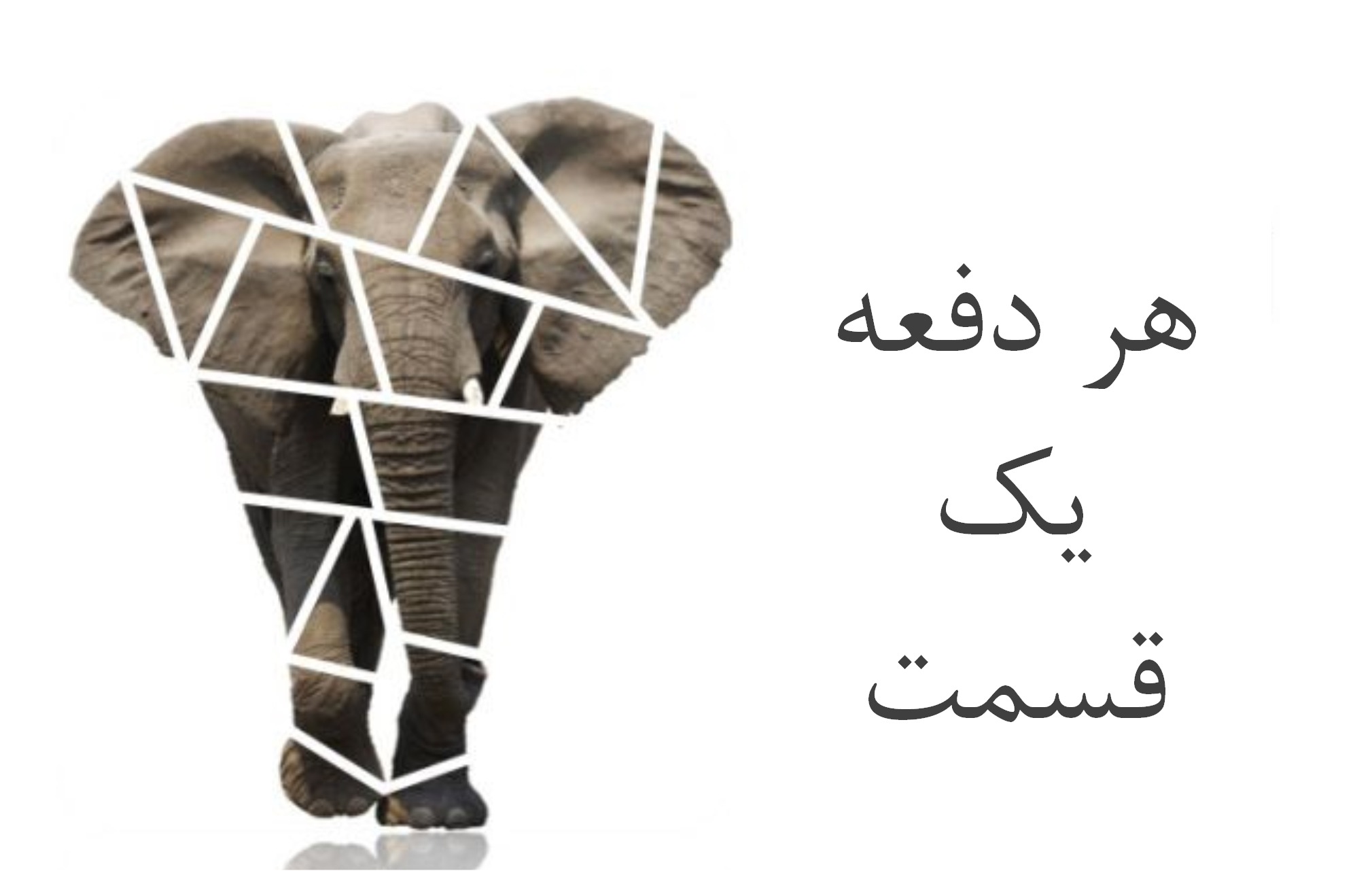 ساختار شکست کار و تمثیل فیل