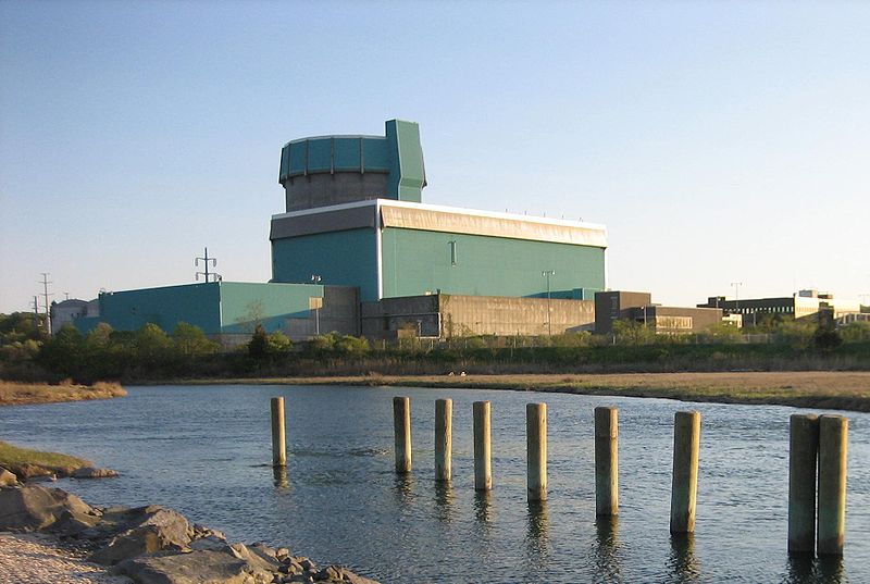 نیروگاه اتمی شورهام